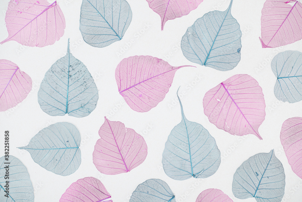 Transparent leaves in pink and blue color on bright background. Autumn season colorful background pattern.
