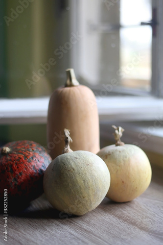 Various pumpkins on a table. Selective focus.