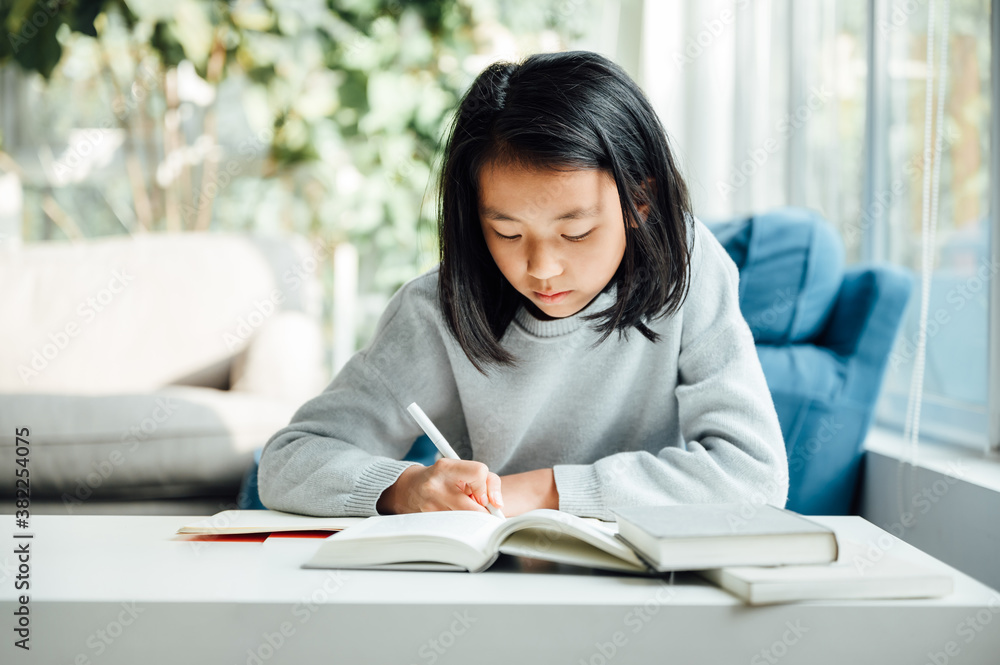 Teenager girl doing homework at home Teenager girl doing homework at home