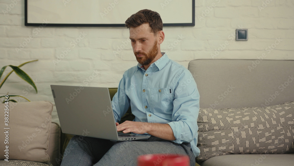 Handsome man using laptop typing working sitting on couch in modern living room at home internet business computer chat smile close up slow motion Handsome man using laptop typing working sitting on couch in modern living room at home internet business computer chat smile close up slow motion