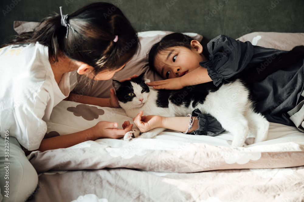 Cute little girl playing with her pet cat at home Cute little girl playing with her pet cat at home