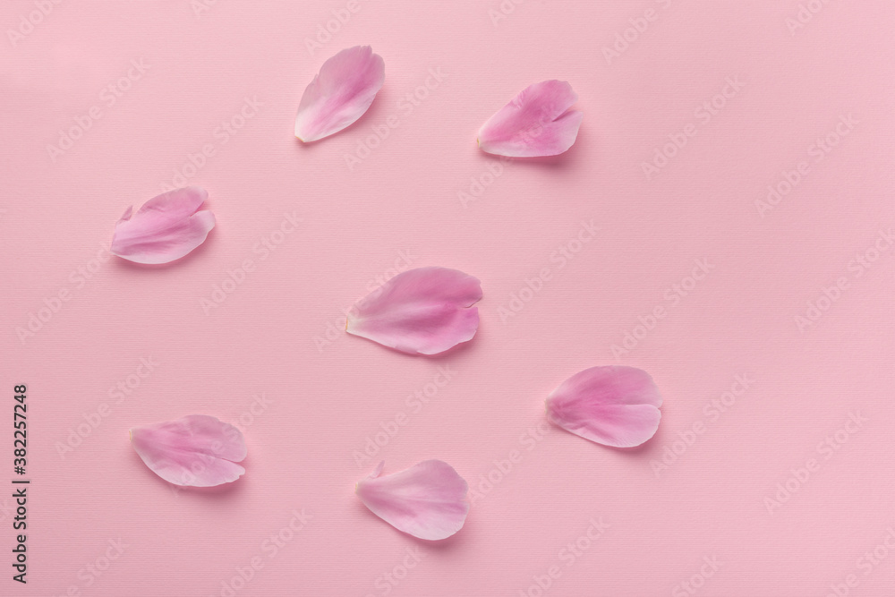 Delicate pink petals on pink background. Floral background