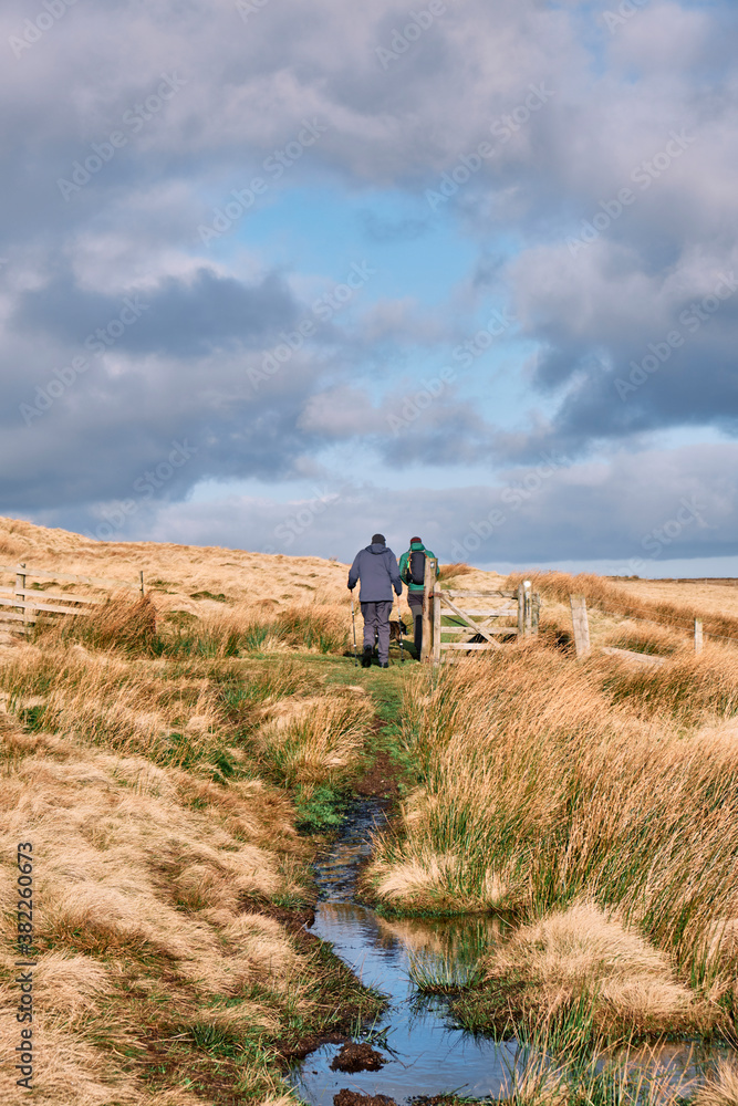 Father and son walking in the Cheviot Hills. Northumberland, UK. Father and son walking in the Cheviot Hills. Northumberland, UK.