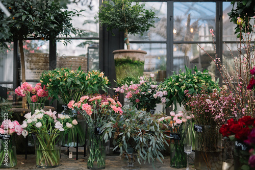 Wallpaper Mural Greenhouse plants Torontodigital.ca