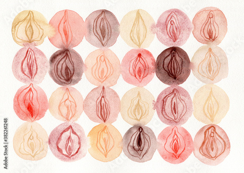 Multiethnic vulvas photo