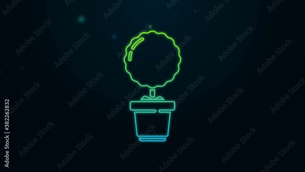 Glowing neon line Flower in pot icon isolated on black background. Plant growing in a pot. Potted plant sign. 4K Video motion graphic animation Glowing neon line Flower in pot icon isolated on black background. Plant growing in a pot. Potted plant sign. 4K Video motion graphic animation