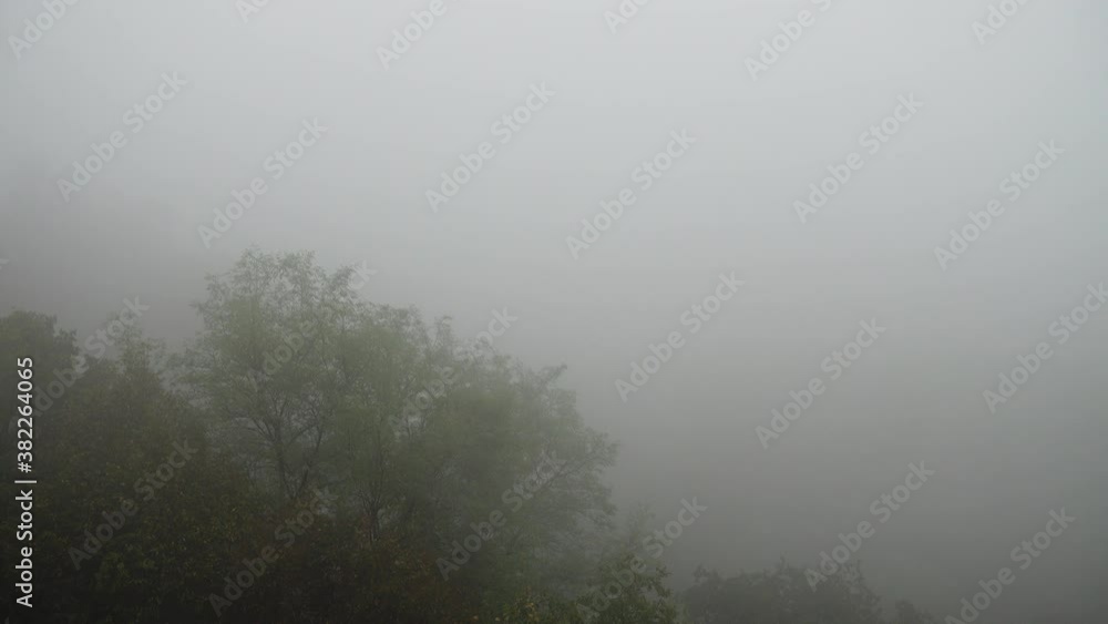 Fog over the trees and rain.
Fog over the trees and rain.