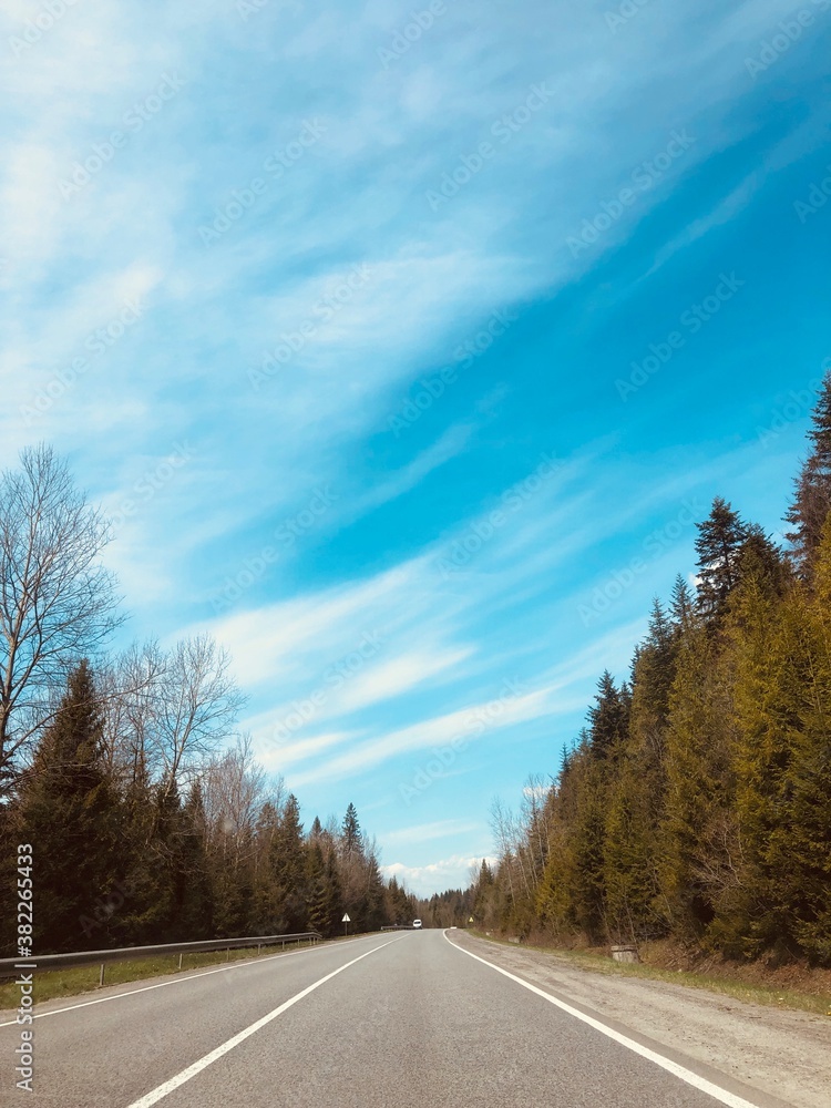 Fototapeta premium road in autumn