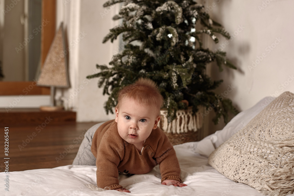 First Christmas First Christmas