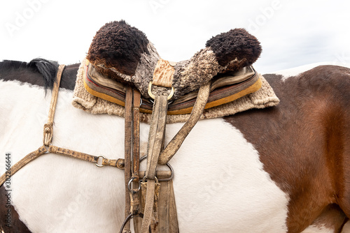Saddle on a horse