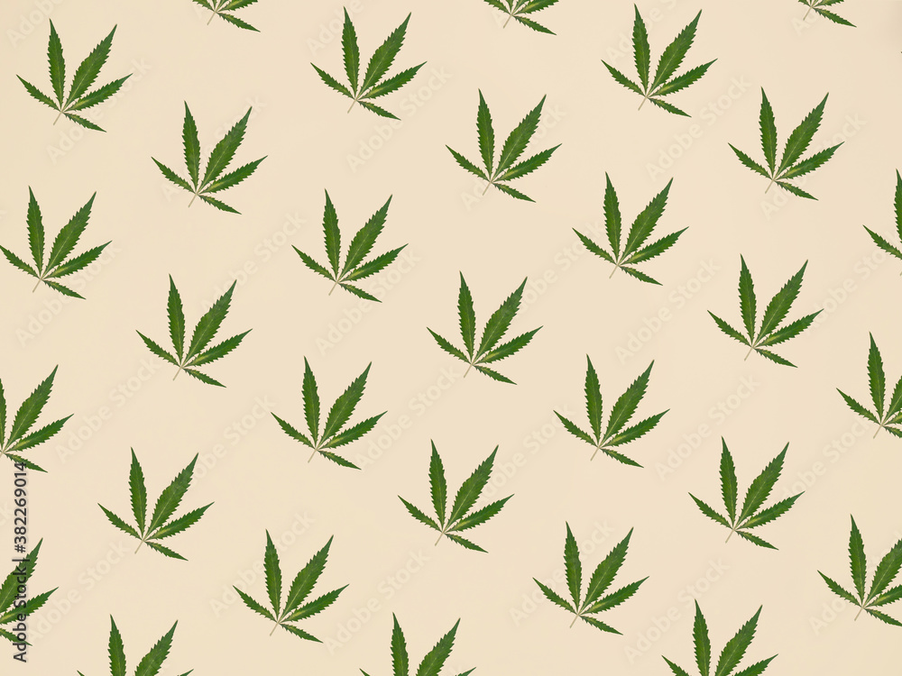 Cannabis Leaf Pattern Cannabis Leaf Pattern