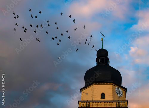 birds flying around the church tower Fototapet