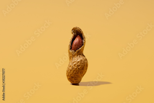 peanut photo