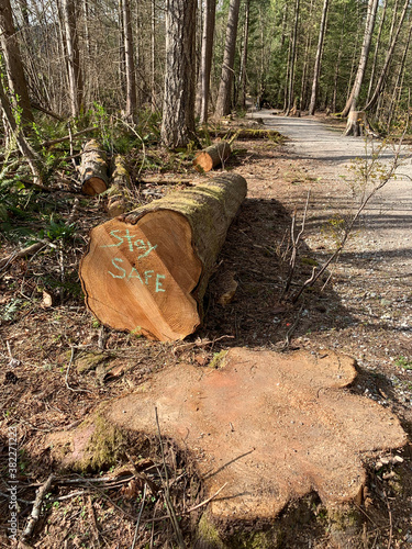 Empty Trail with Stay Safe Message photo