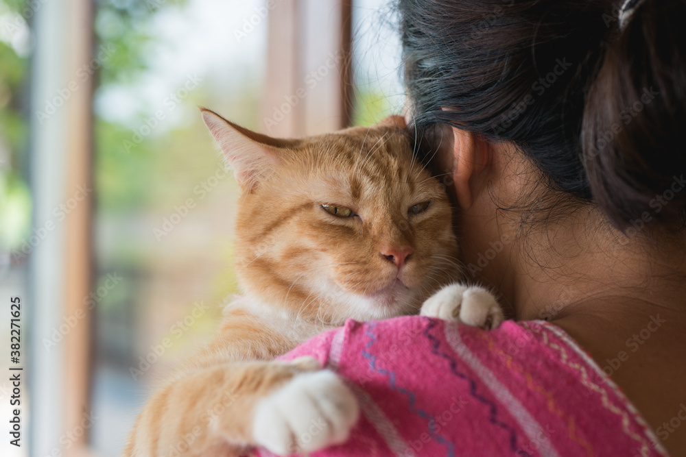 Asian woman hugging cat Asian woman hugging cat