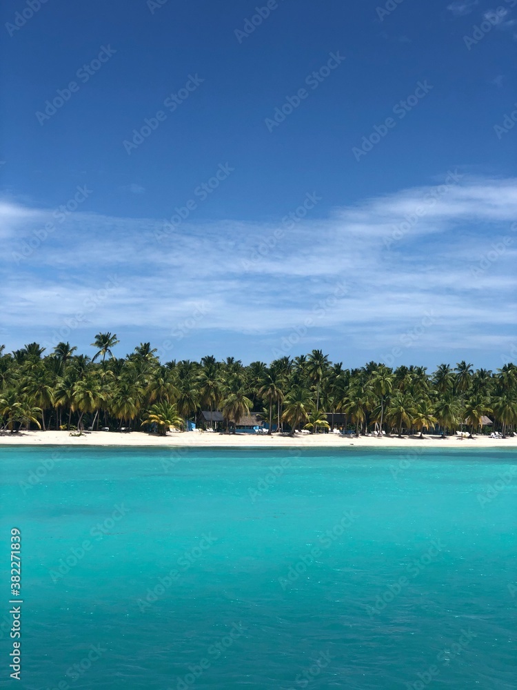Fototapeta premium beach with palm trees
