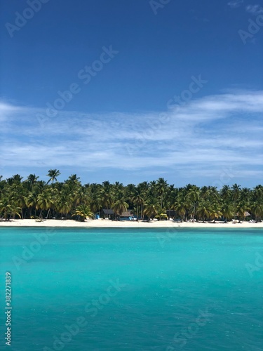 Fototapeta Naklejka Na Ścianę i Meble -  beach with palm trees