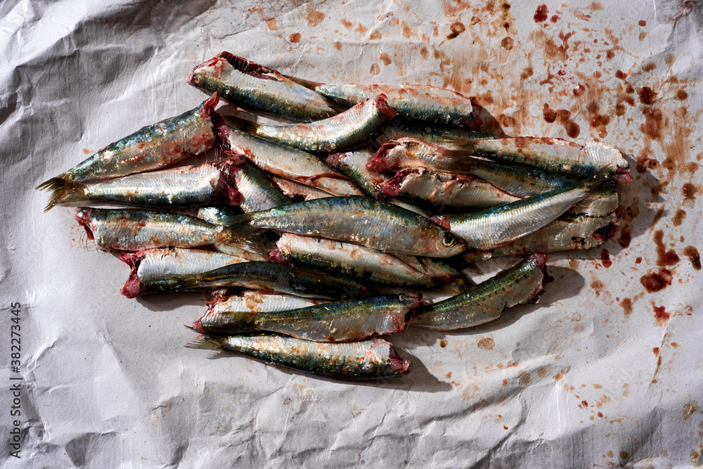raw sardines raw sardines