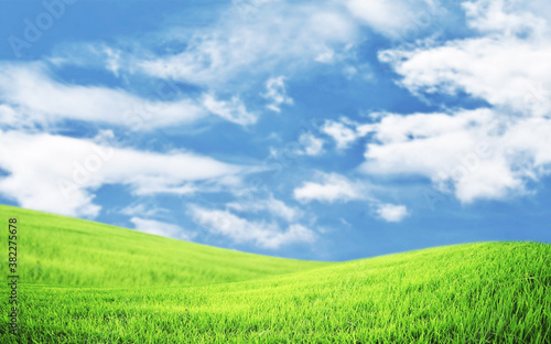 green field and blue sky with clouds