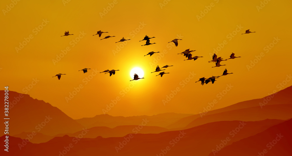 Sandhill cranes in flight at sunrise above the mountains