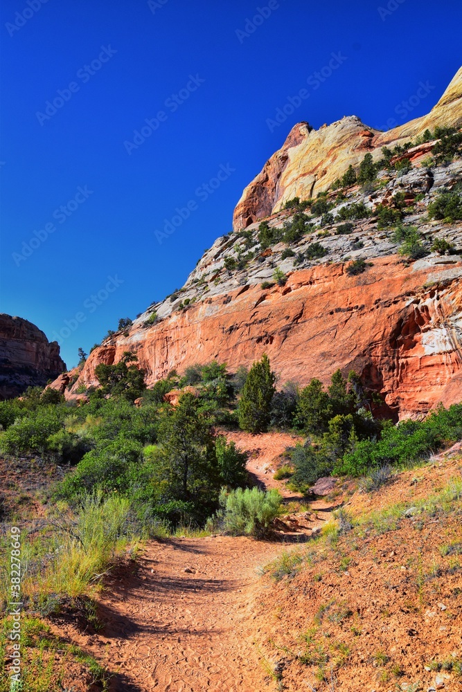 Lower Calf Creek Falls views from the hiking trail Grand Staircase-Escalante National Monument between Boulder and Escalante off Highway 12 in Southern Utah. United States.