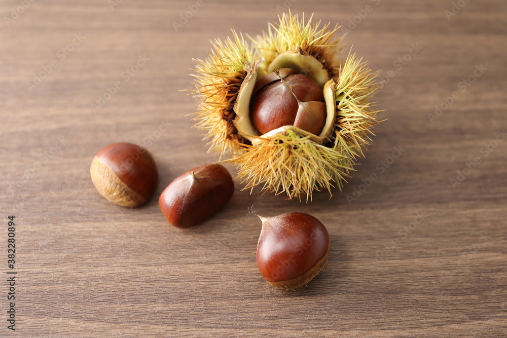 秋の味覚 取れたての栗 秋の味覚 取れたての栗