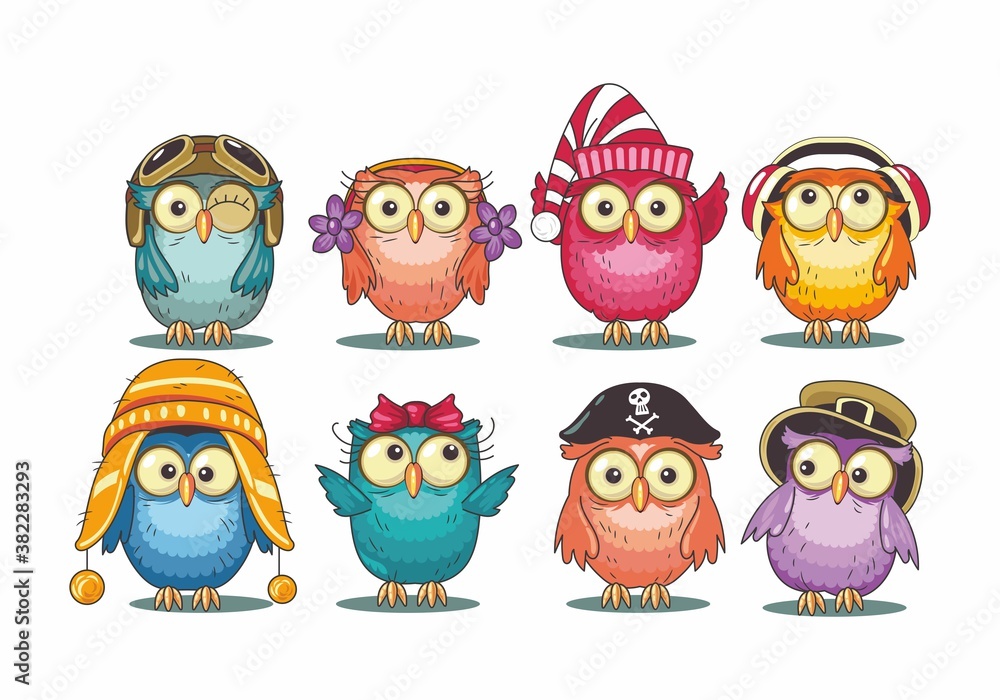 Fototapeta premium OWL Pack