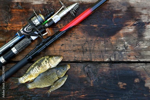  A wooden aged wet background, with fishing rods, spinning on the left and three fish.