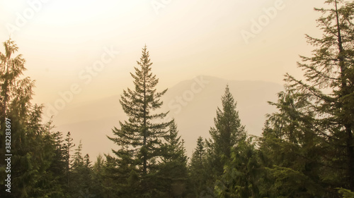 Smoky Mountains-cape with Trees 