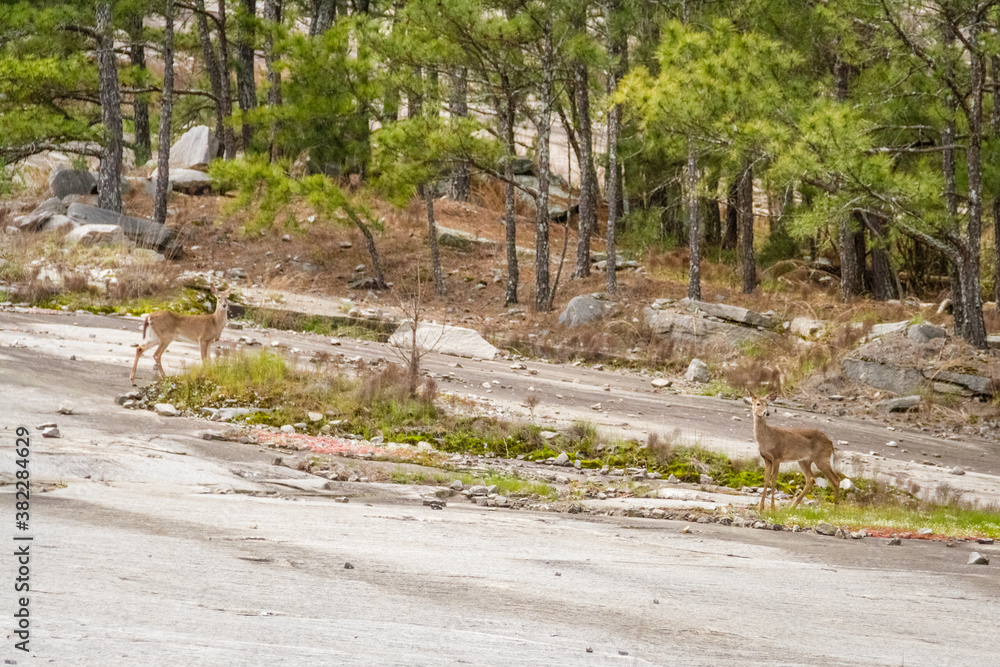 granite quarry