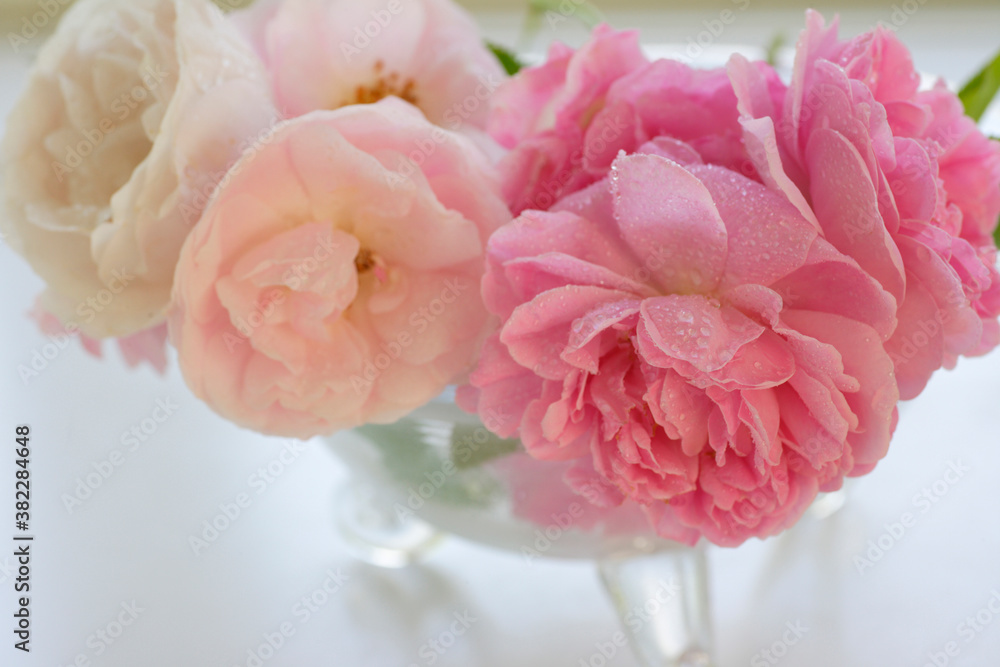 ガラスの花器に飾られた薔薇 ガラスの花器に飾られた薔薇