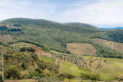 View of the Tuscan valley with country houses, vineyards, cypresses and olive groves in autumn