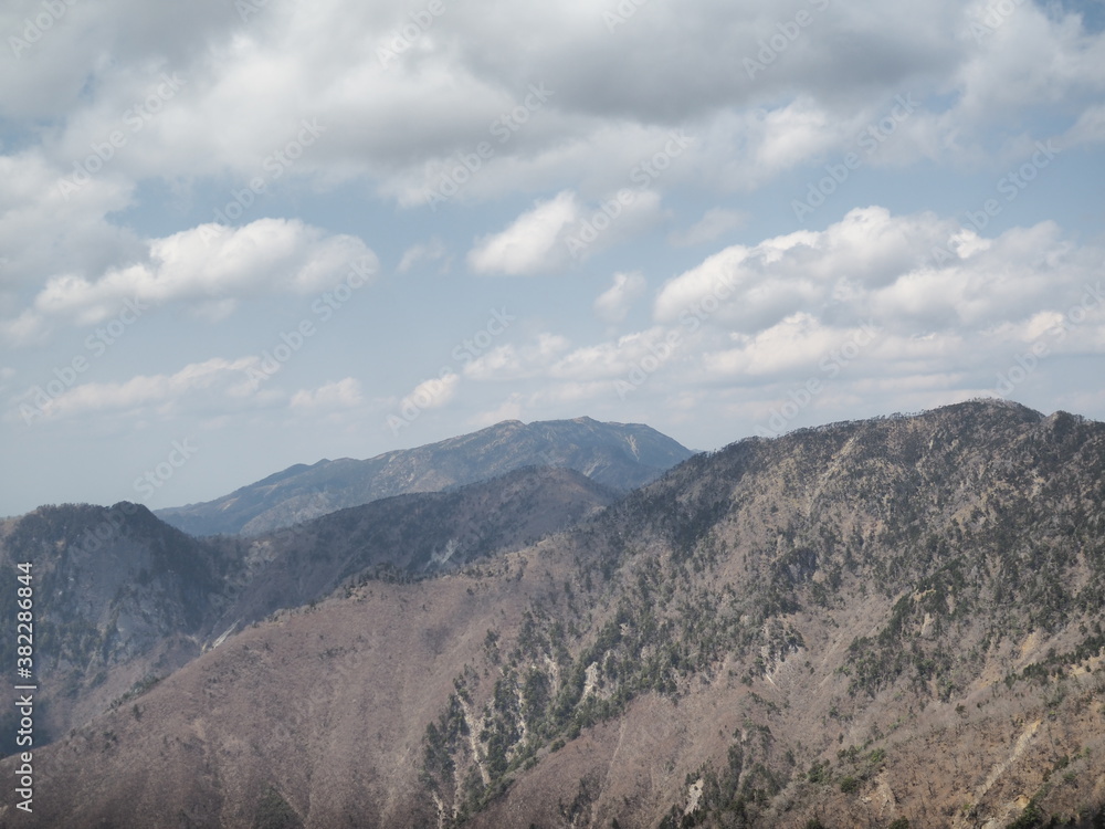 Fototapeta premium OLYMPUS DIGITAL CAMERA