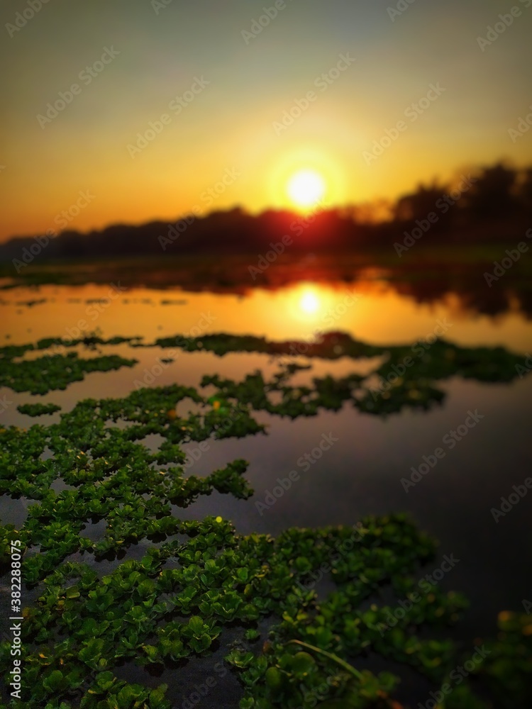 Fototapeta premium sunset over the river 