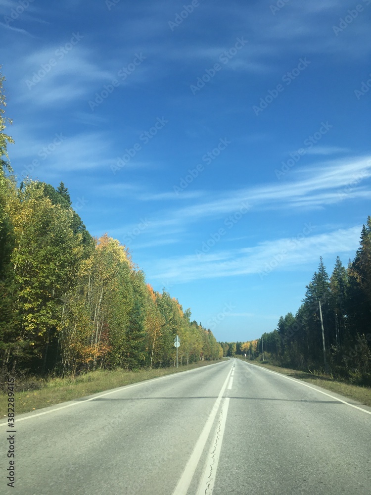 Obraz premium road in autumn