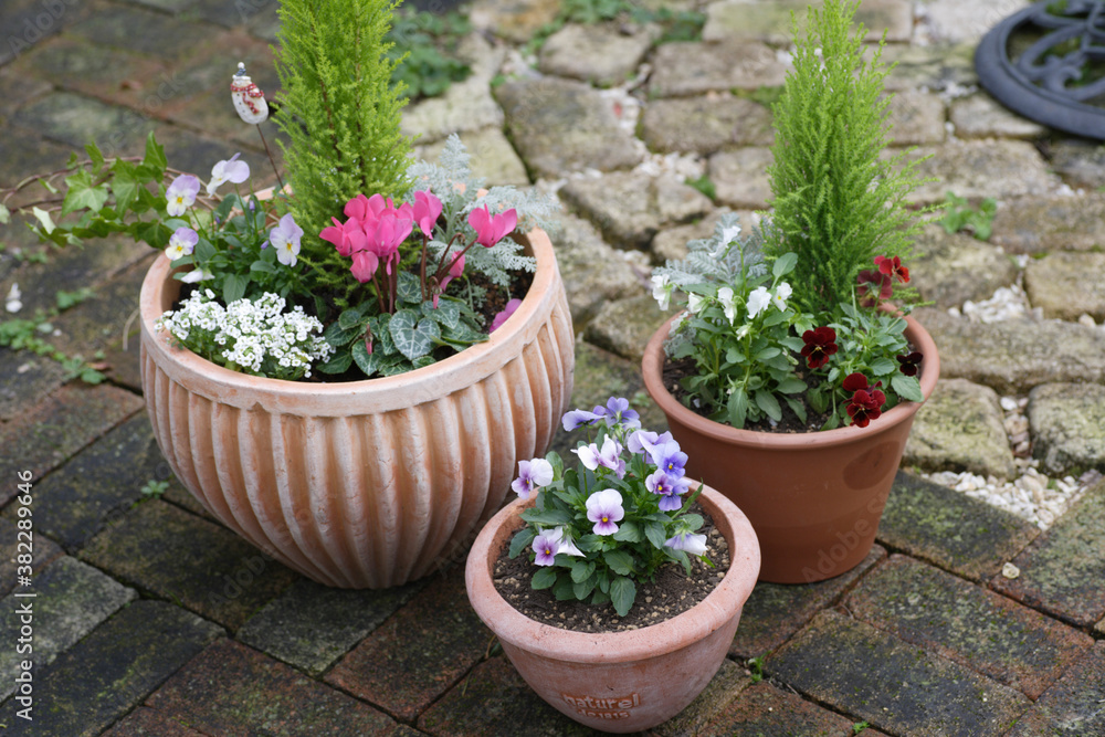 ガーデニング寄せ植え ガーデニング寄せ植え