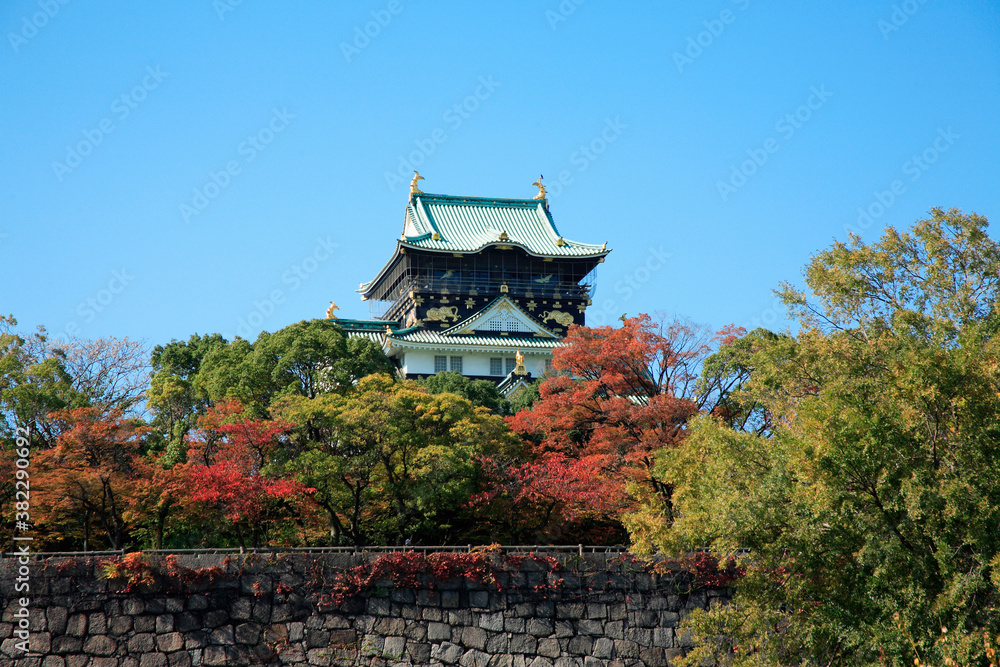 Fototapeta premium 秋の大阪城