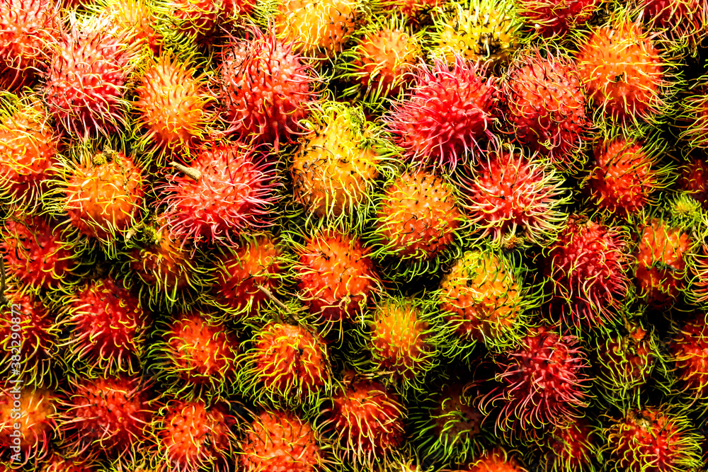 Pile of fresh red rambutans, tropical fruit, in local market.
Pile of fresh red rambutans, tropical fruit, in local market.