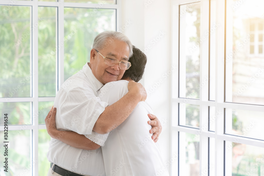 Happy old elderly caucasian couple smiling in living room. Elderly retirement love couple together concept.