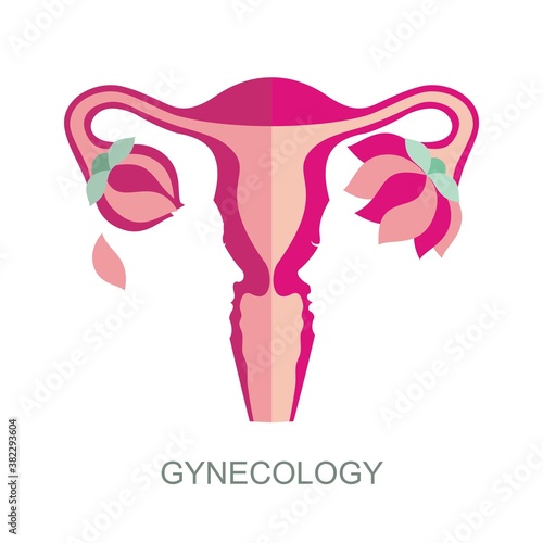 Female uterus and menopause