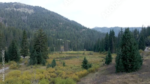 Wallpaper Mural Drone flying through tall trees towards Utah Wasatch Mountains Torontodigital.ca