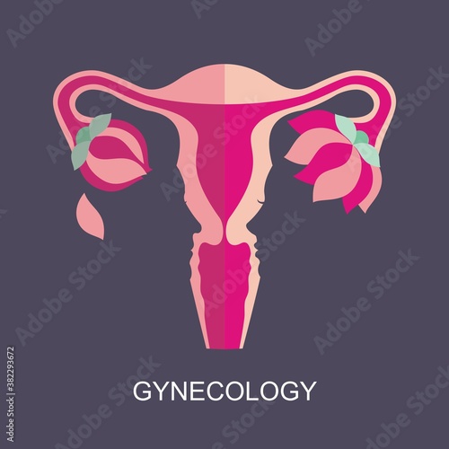 Female uterus and menopause