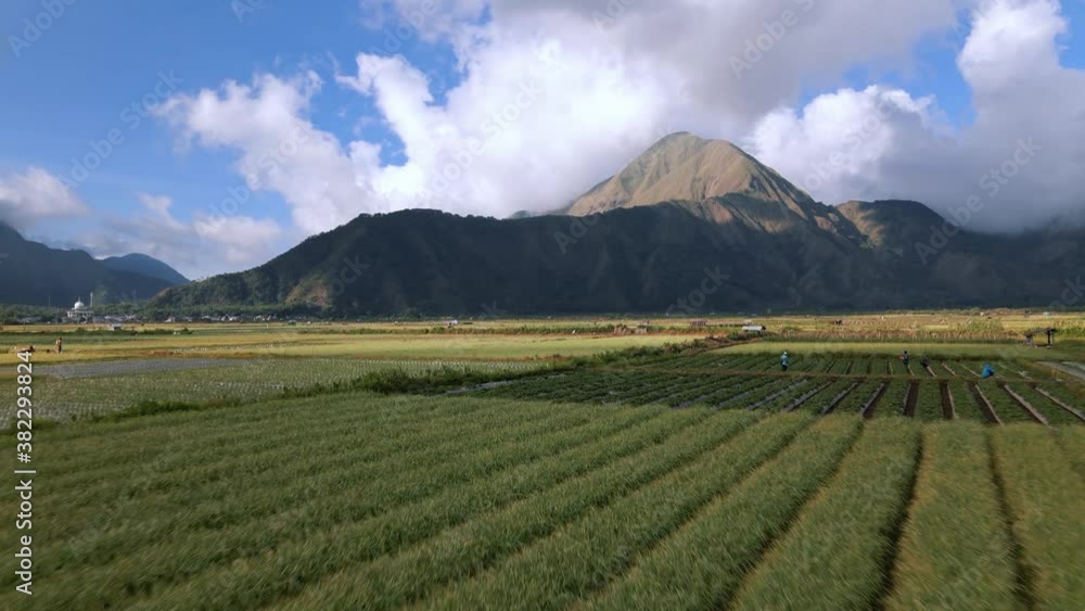Low altitude flight above colorful field pattern with working people and beautiful mountains during cloudy and sunny day. Low altitude flight above colorful field pattern with working people and beautiful mountains during cloudy and sunny day.
