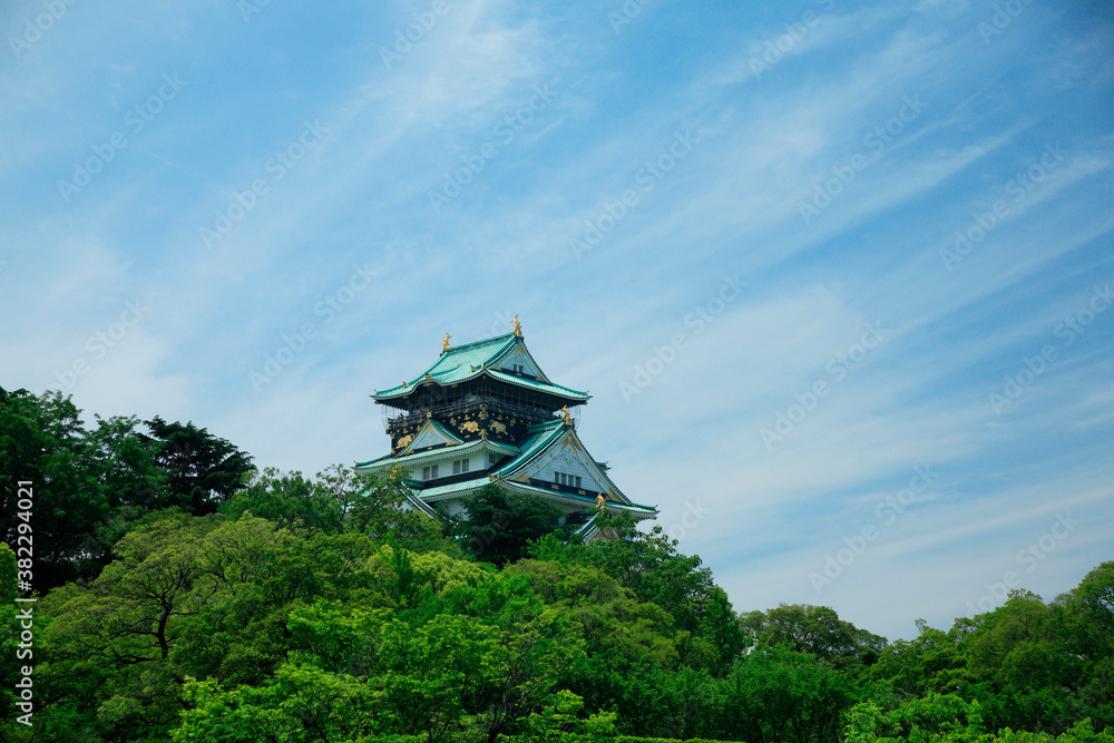 新緑の大阪城