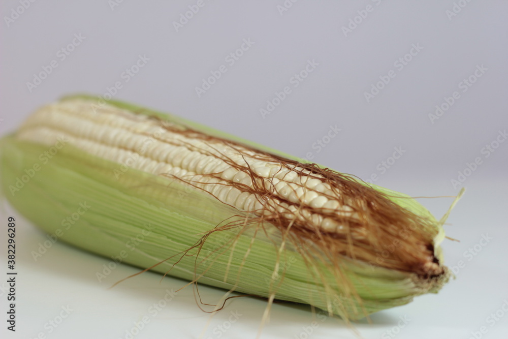 Elote Elote