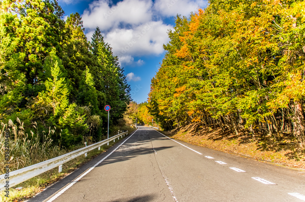 紅葉に挟まれた道路の風景 高野龍神スカイライン Stock Photo Adobe Stock