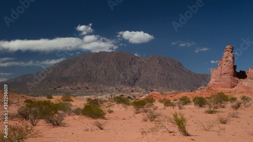 Desert landscape. View of the red desert sand, mountains, flora, sandstone and rocky formations under a deep blue sky.