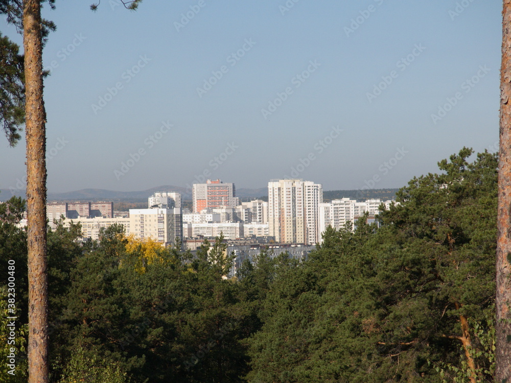 Obraz premium Far from the city in the forest
