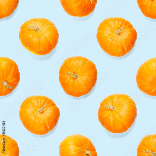 Seamless pattern with pumpkin. Autumn abstract seamless pattern made from Pumpkins on the blue background. Pumpkin quality pattern. © Ilja