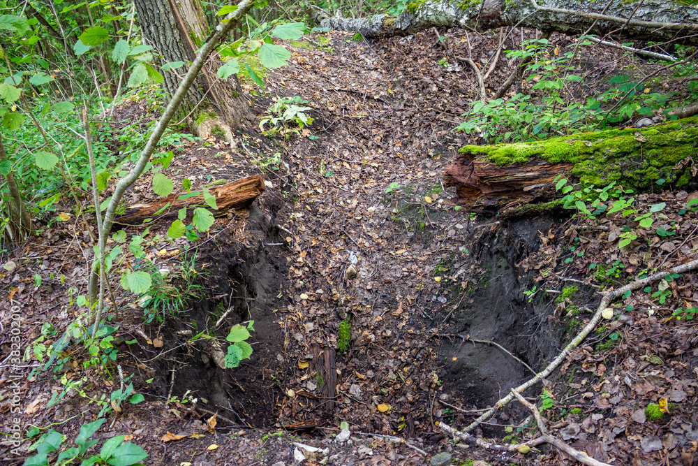 A large plundering pit dug by black diggers at an archaeological site. Illegal excavations
A large plundering pit dug by black diggers at an archaeological site. Illegal excavations